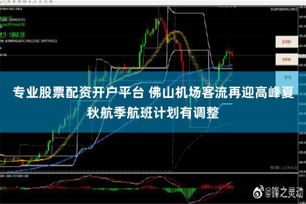 专业股票配资开户平台 佛山机场客流再迎高峰夏秋航季航班计划有调整