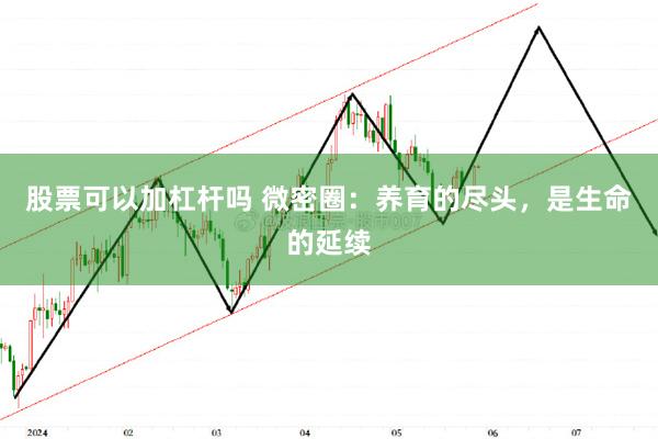 股票可以加杠杆吗 微密圈：养育的尽头，是生命的延续