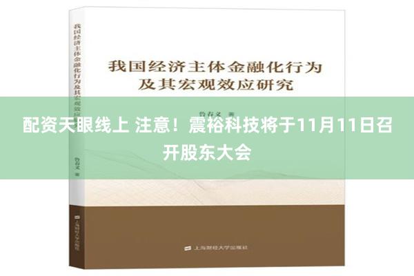 配资天眼线上 注意！震裕科技将于11月11日召开股东大会