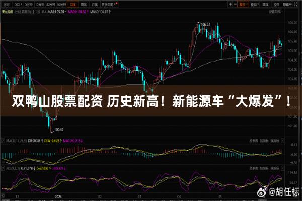 双鸭山股票配资 历史新高！新能源车“大爆发”！