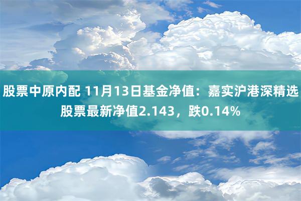 股票中原内配 11月13日基金净值：嘉实沪港深精选股票最新净