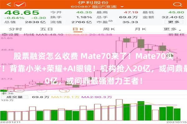 股票融资怎么收费 Mate70来了！Mate70实锤唯一代工