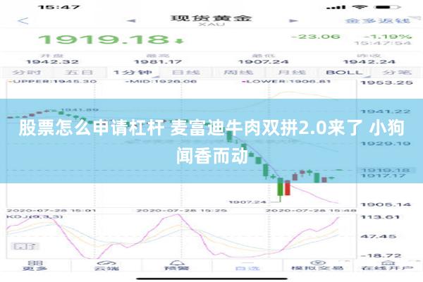 股票怎么申请杠杆 麦富迪牛肉双拼2.0来了 小狗闻香而动