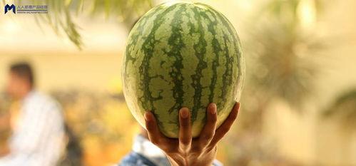 娱乐圈大瓜可以吃吗